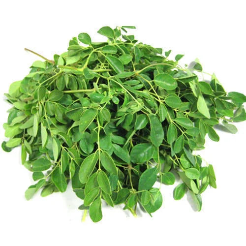 100% Moringa Oleifera Leaf Extract